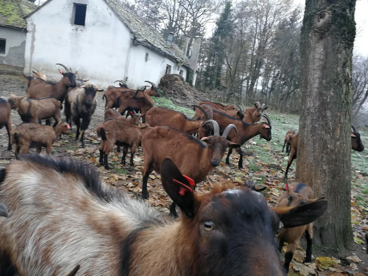 Fotografija lokacije Općina Podravska Moslavina (Općina).
