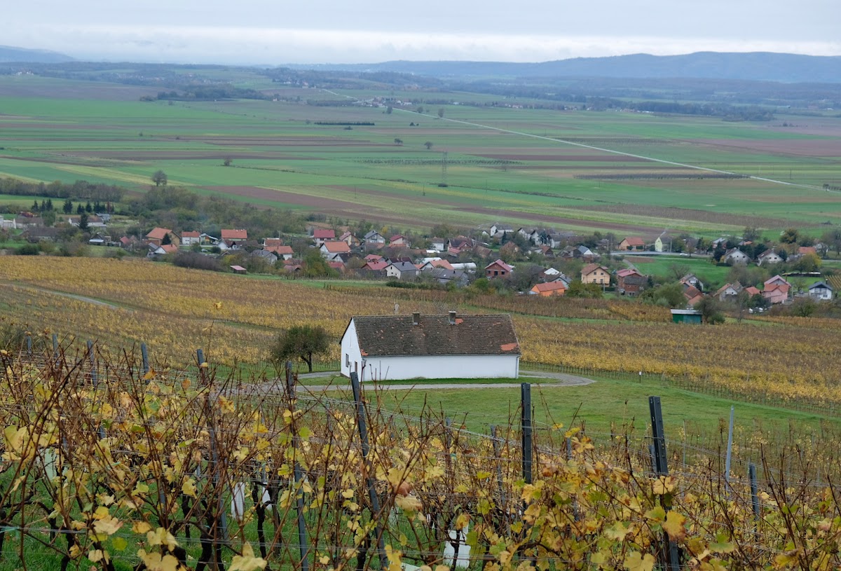 Fotografija lokacije Grad Kutjevo (Grad).