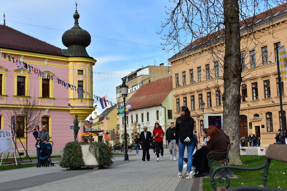 Fotografija lokacije Grad Vinkovci (Grad).