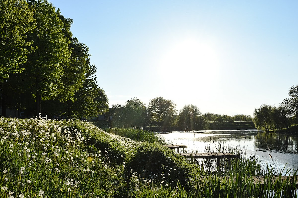 Fotografija lokacije Općina Andrijaševci (Općina).