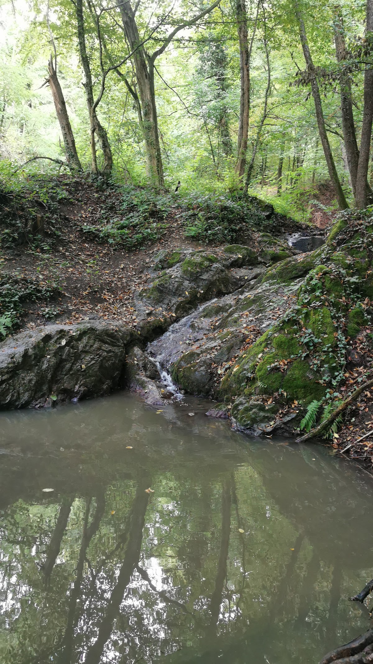 Fotografija lokacije Općina Bistra (Općina).