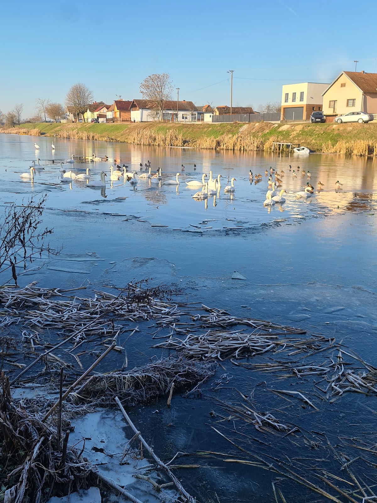 Fotografija lokacije Općina Cerna (Općina).