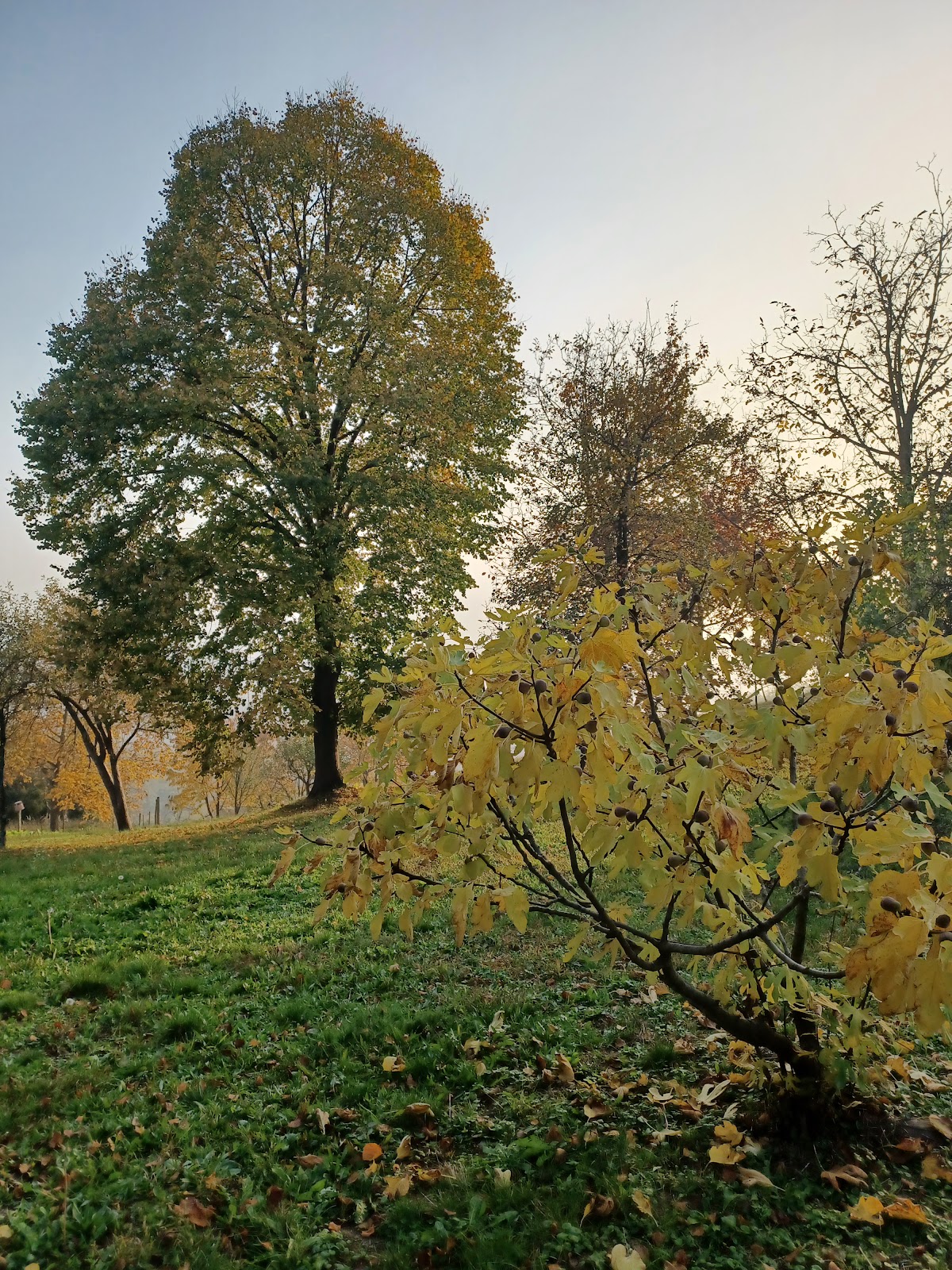 Fotografija lokacije Općina Orehovica (Općina).