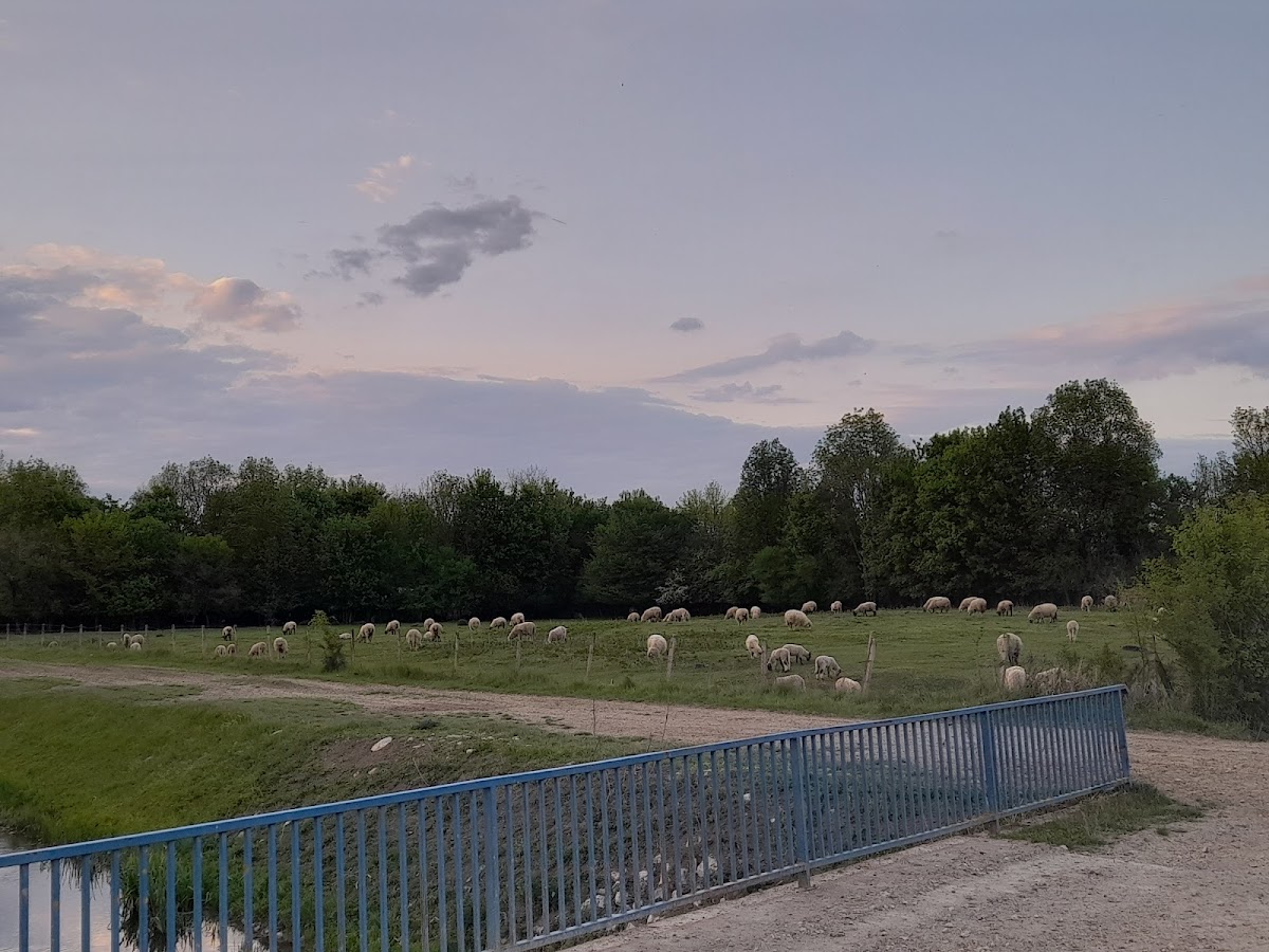 Fotografija lokacije Općina Orle (Općina).