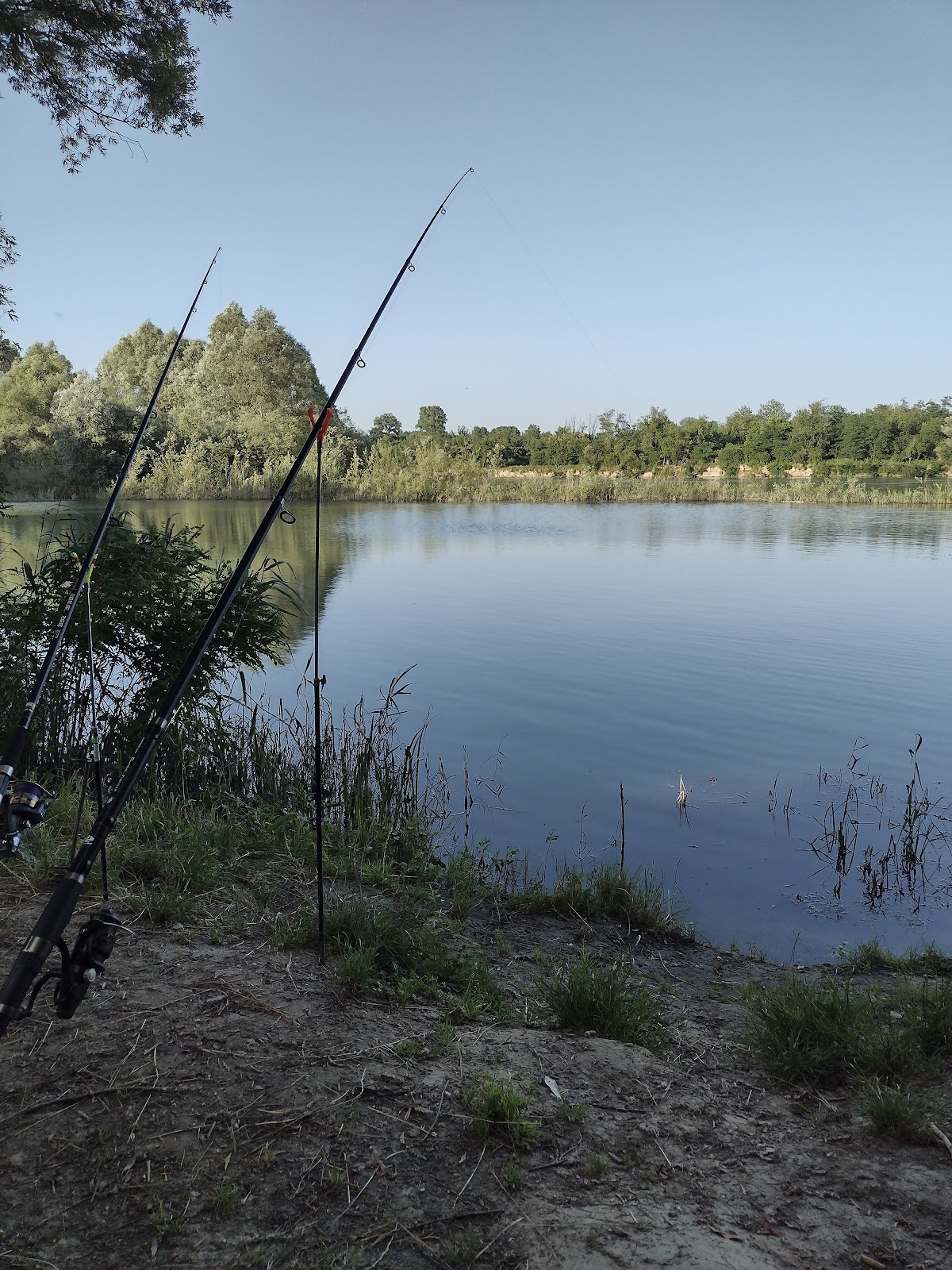Fotografija lokacije Općina Podravske Sesvete (Općina).