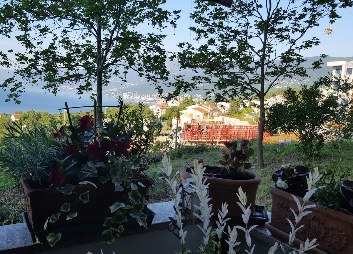 Fotografija lokacije Općina Rešetari (Općina).