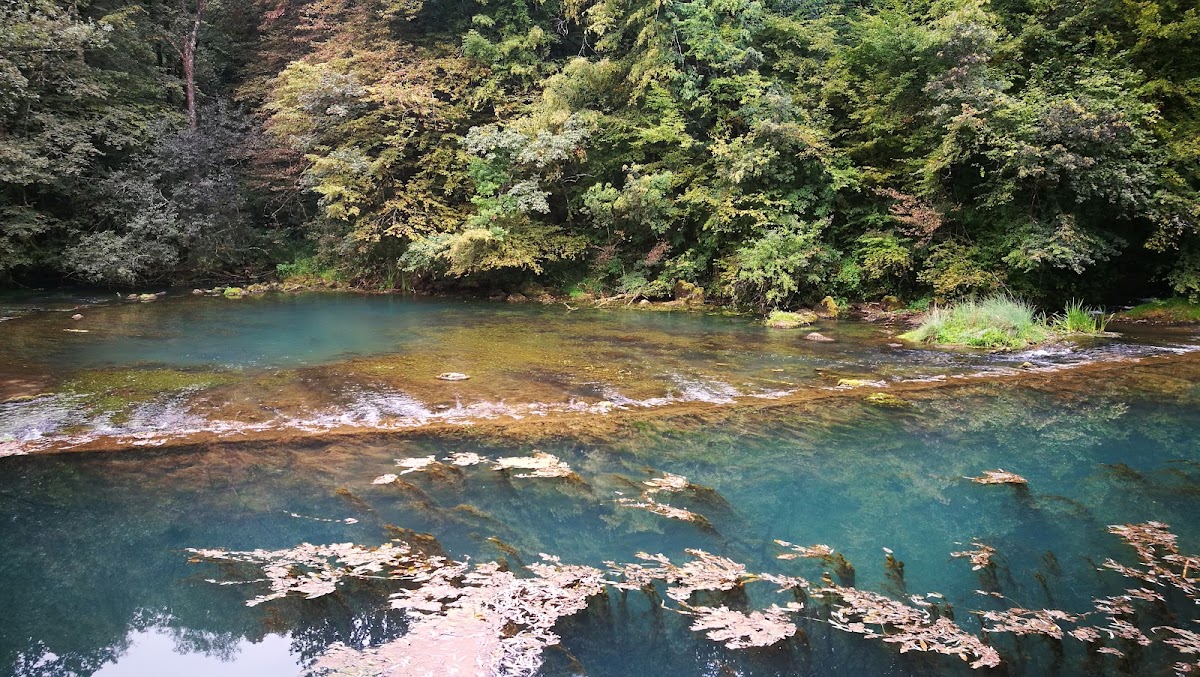 Fotografija lokacije Općina Ribnik (Općina).