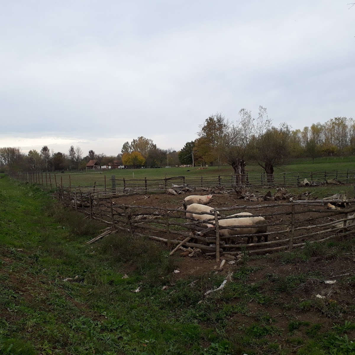 Fotografija lokacije Općina Slavonski Šamac (Općina).