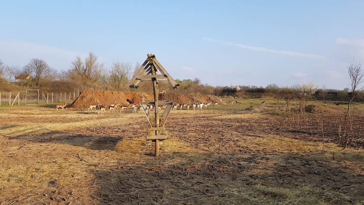 Fotografija lokacije Općina Tompojevci (Općina).