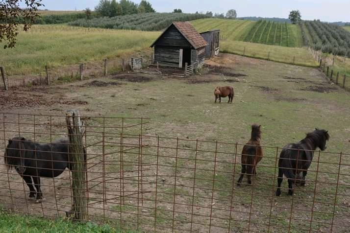Fotografija lokacije Općina Velika Ludina (Općina).