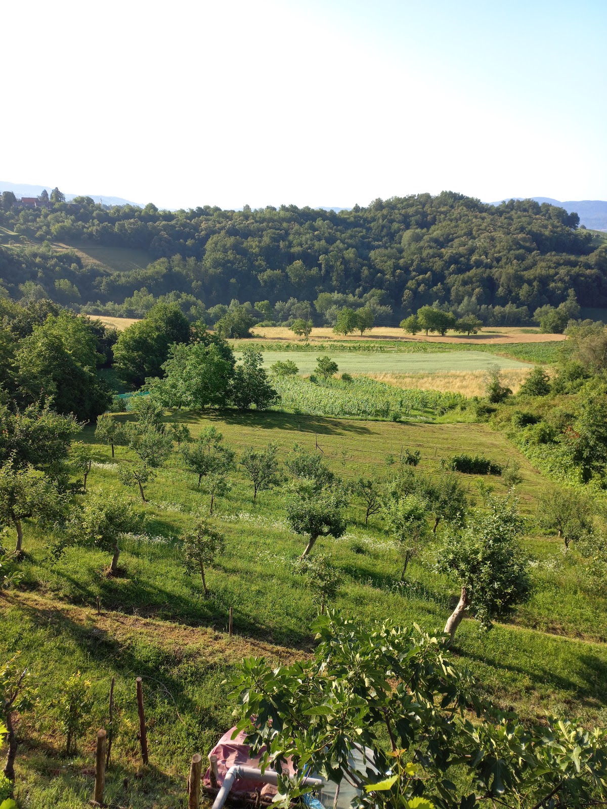 Fotografija lokacije Općina Žumberak (Općina).